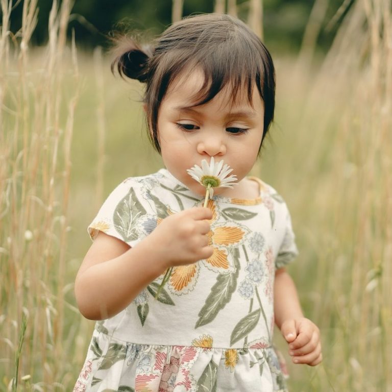 Hömoöpathie für Kinder ist sanft. Ein kleines Mädchen läuft über ein Getreide-Feld. Es riecht an einer Blume.