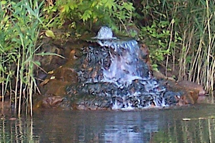 Aus einer Quelle sprudelt Wasser.
