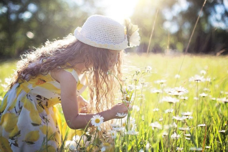 Ein Mädchen pflückt Blumen auf einer Wiese. Die Sonne scheint.