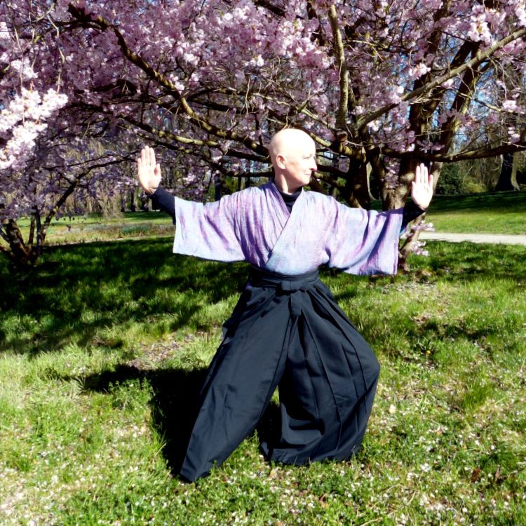 Die Heilpraktikerin übt Tai Chi im Park.